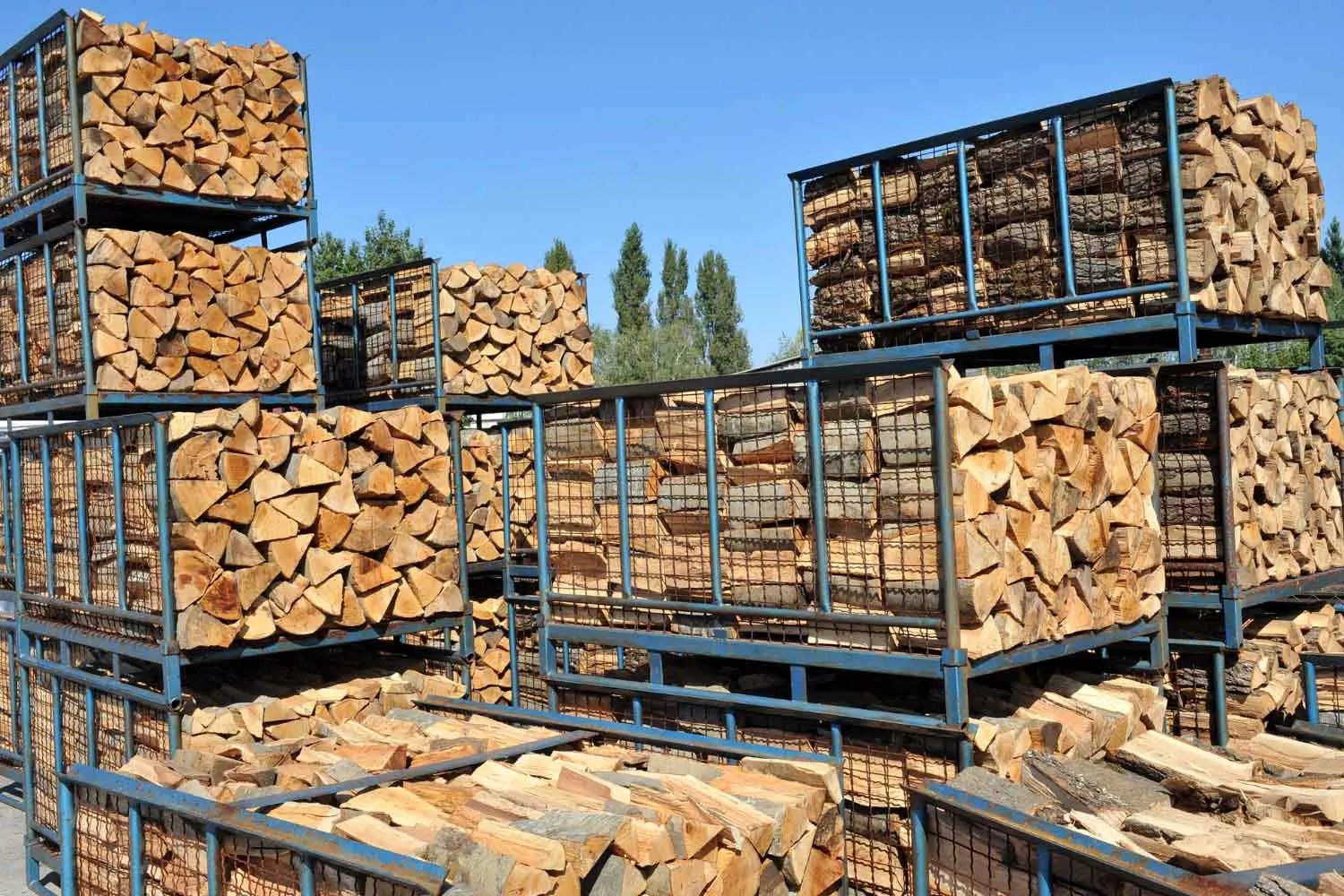 The Future of Premium Firewood: A Symphony of Quality and Versatility