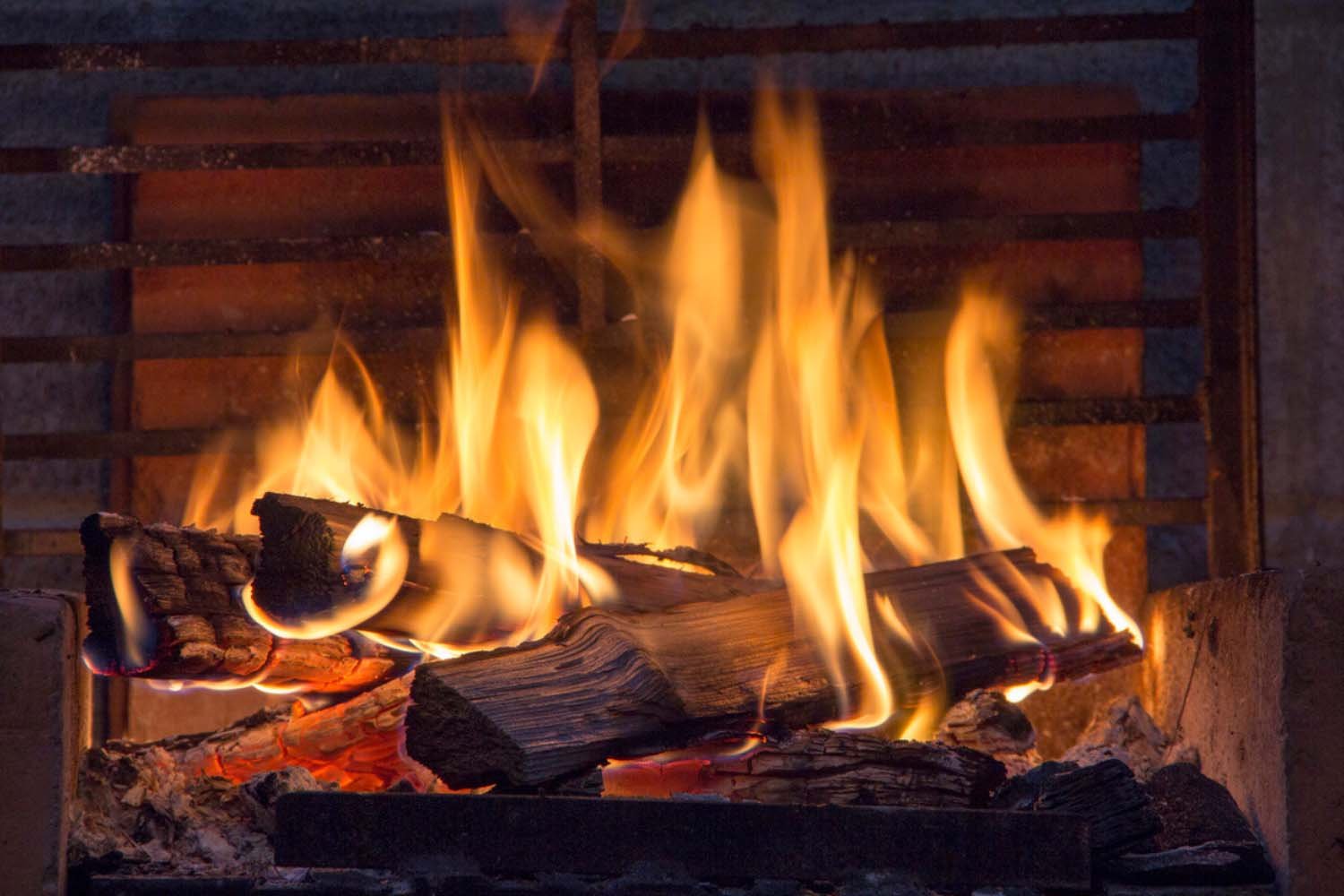 Need Oak Firewood?