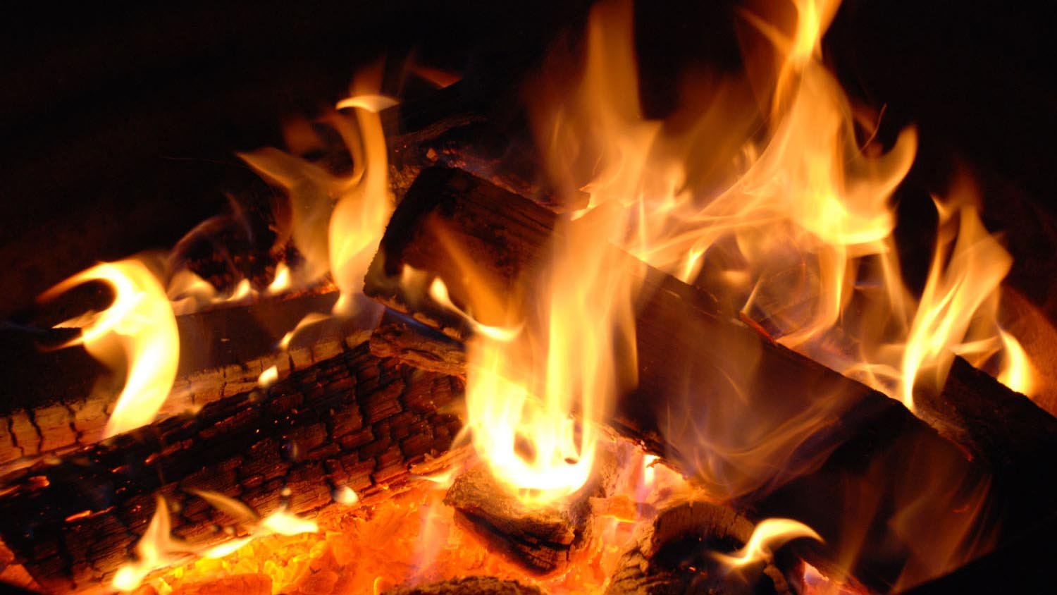 How To: Perfect Firewood Selection
